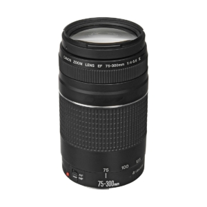 Canon EF 75-300mm f/4-5.6 III Lens
