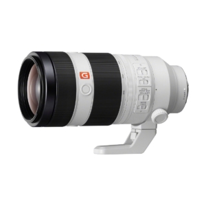 Sony FE 85mm f/1.4 GM Lens