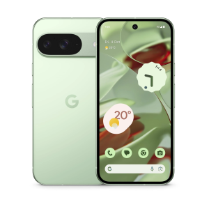 Google Pixel 9 5G Dual Sim 12GB RAM 128GB Wintergreen